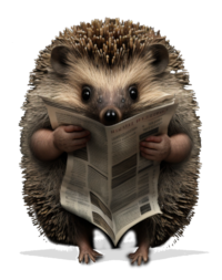 hedgehog-news.png